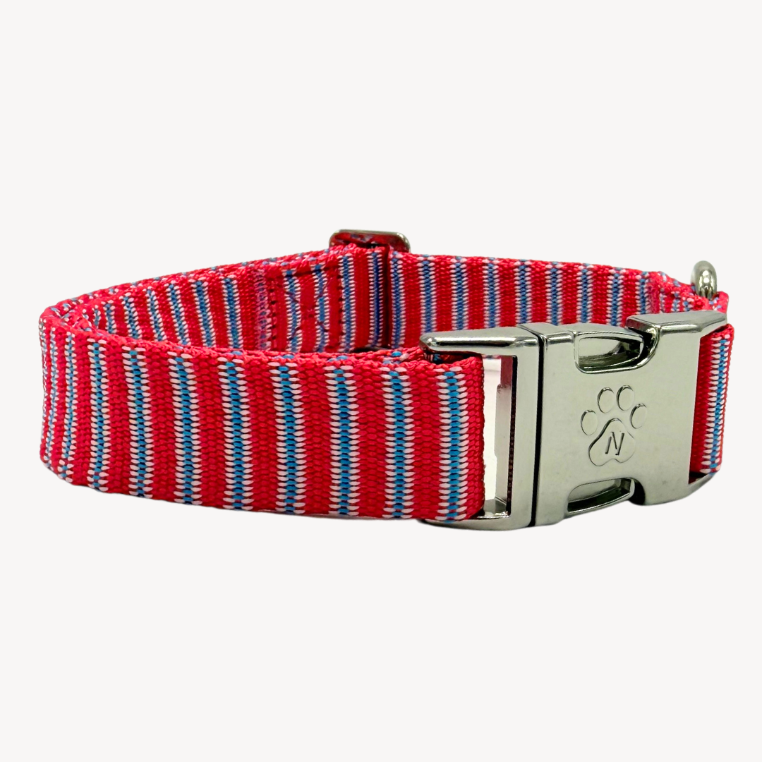 Riviera - Halsband Hund