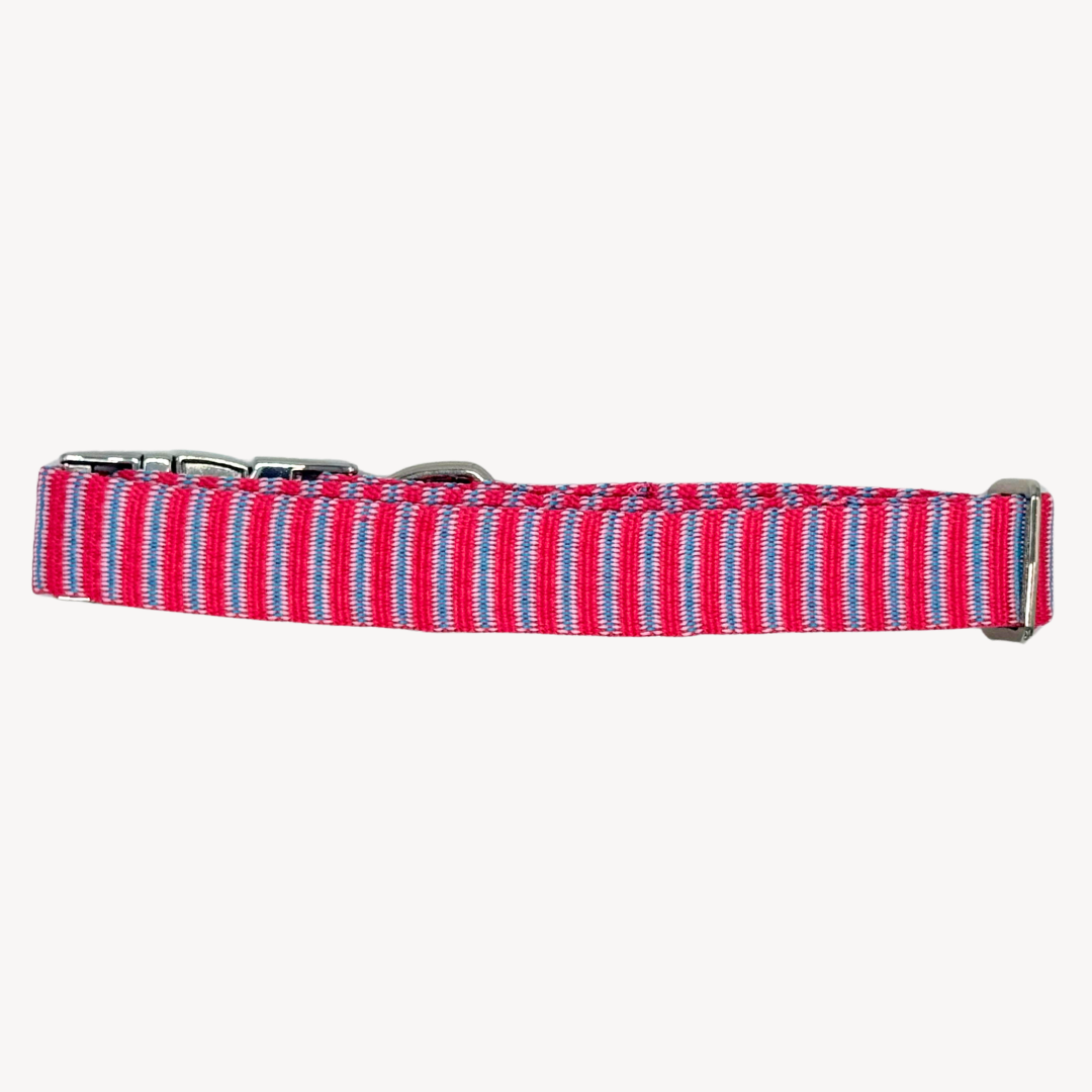 Riviera - Halsband Hund