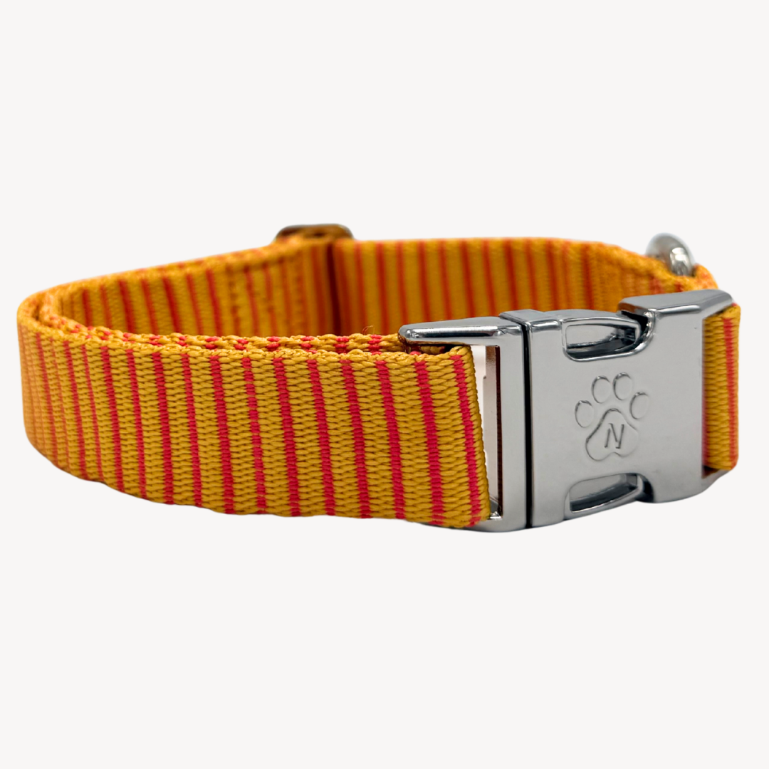 Pinstripe - Halsband Hund