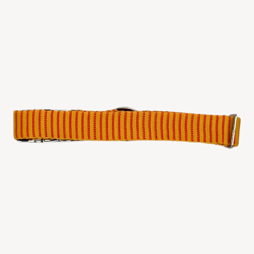 Pinstripe - Halsband Hund