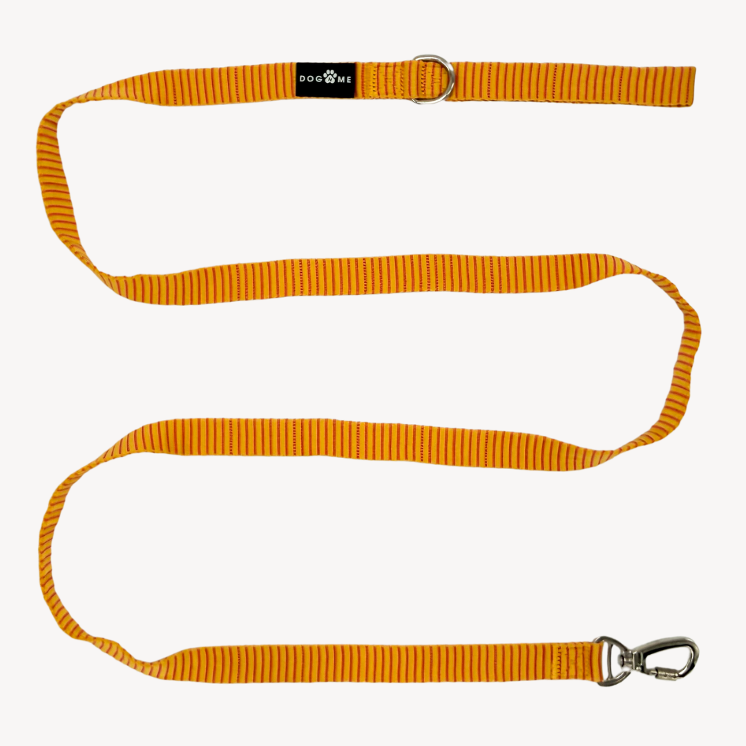 Pinstripe  - Dog Leash