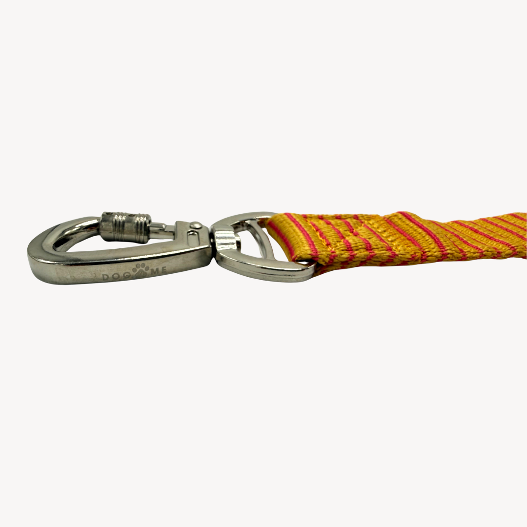 Pinstripe  - Dog Leash