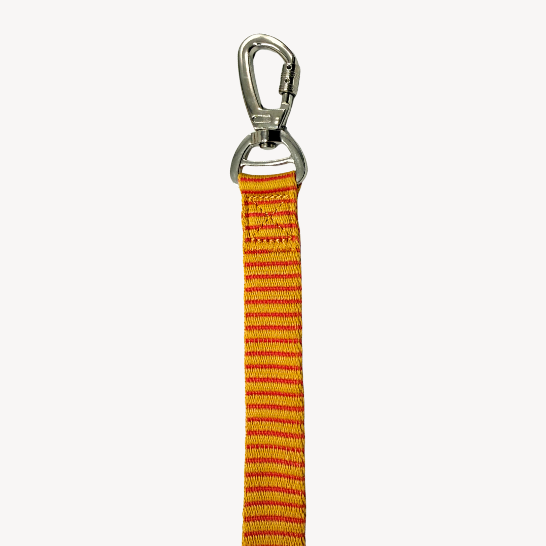 Pinstripe  - Dog Leash