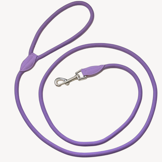 Daily – Purple – Dog Leash
