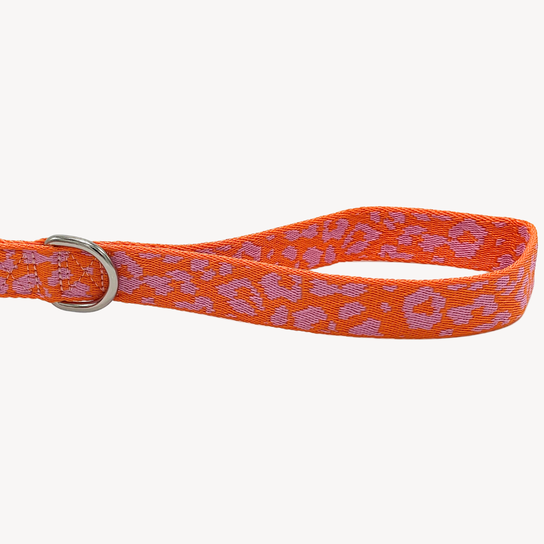 Panther - Orange/Pink - Hundeleine