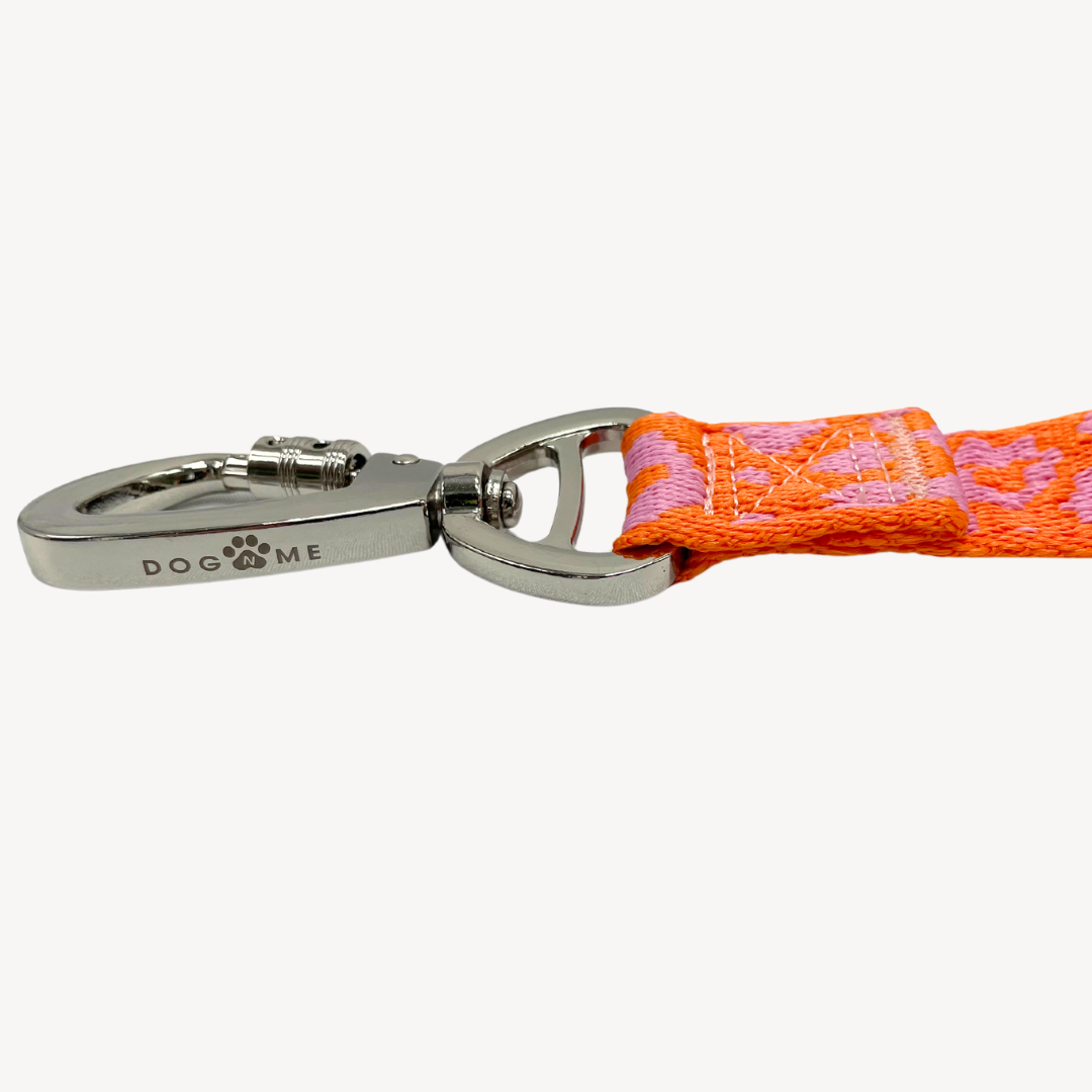 Panther - Orange/Pink - Hundeleine