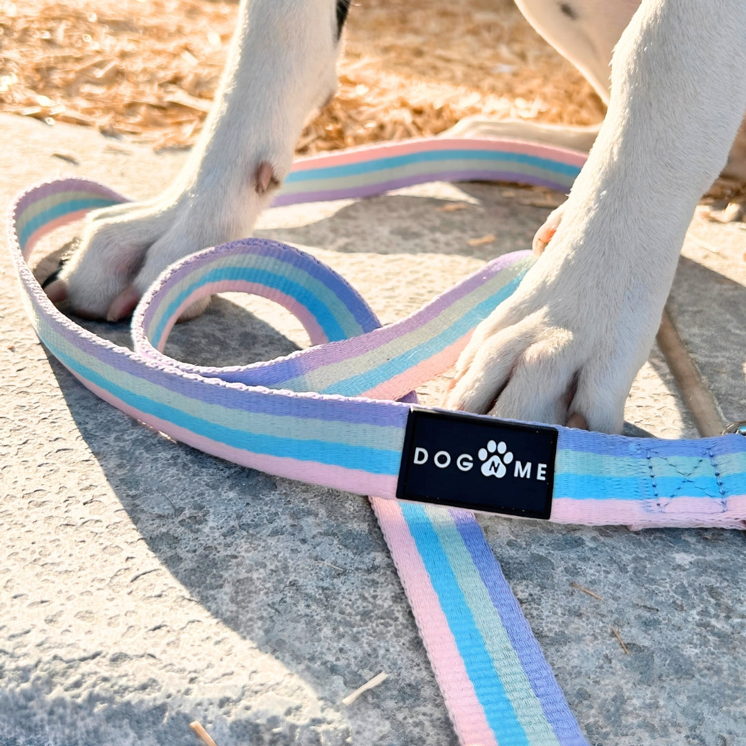 Regenboog - City Walk Set