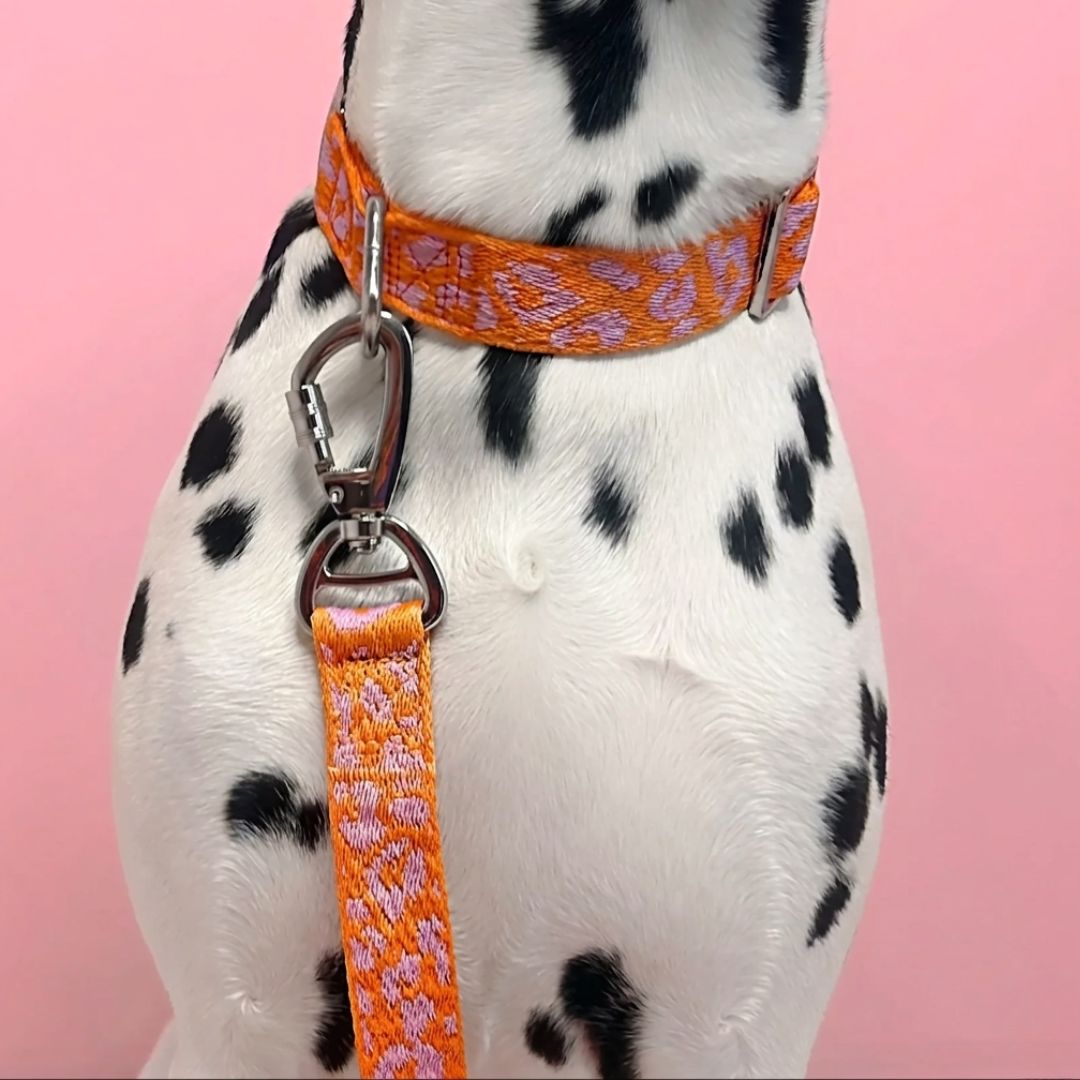 Panther 2.0 - Orange/Pink - Matching Paws set