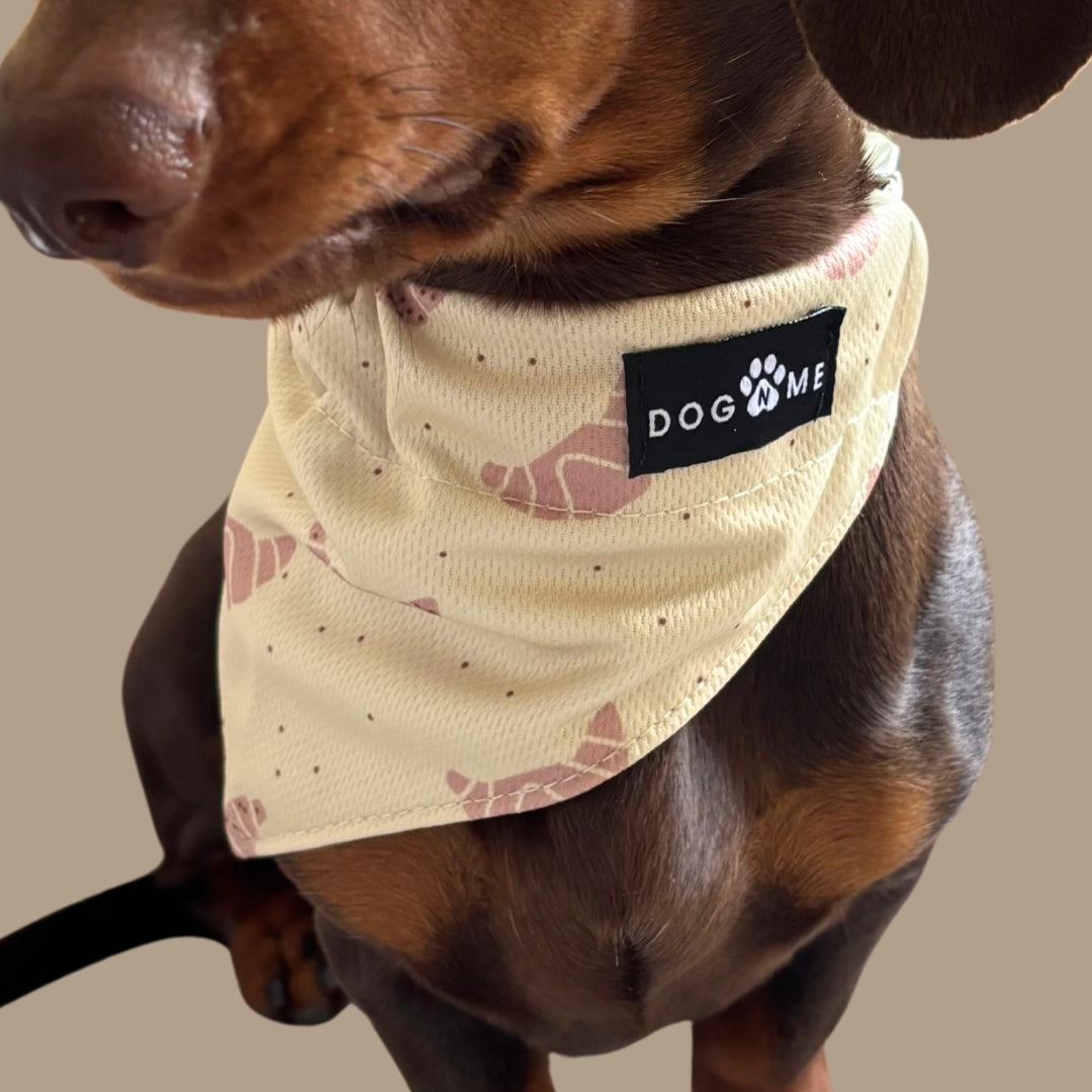 Croissant - Matching Bandana-Set