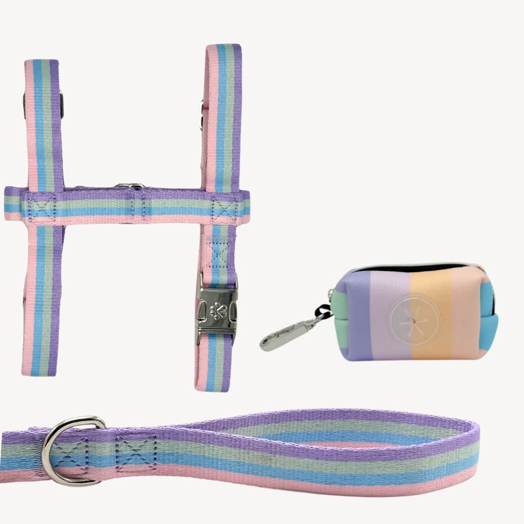 Regenbogen – Trail Explorer Set
