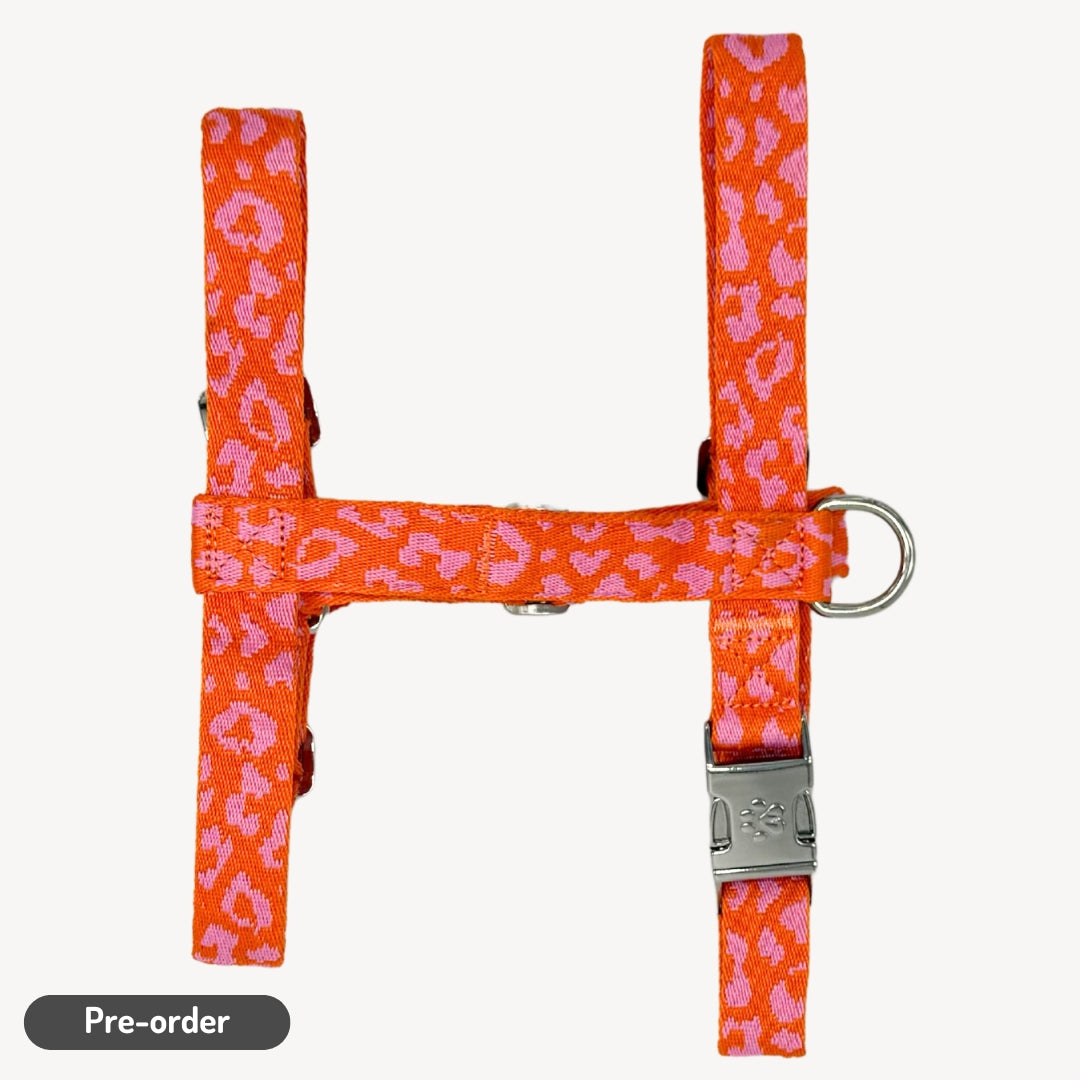 Panther - Orange/Pink - Hundegeschirr / Brustgeschirr