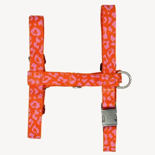 Panther - Orange/Pink - Hundegeschirr / Brustgeschirr