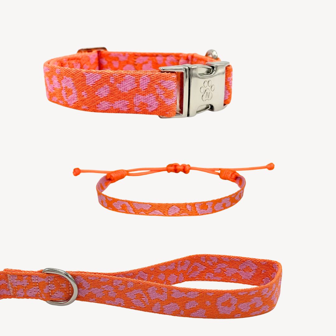 Panther 2.0 - Orange/Pink - Matching Paws set