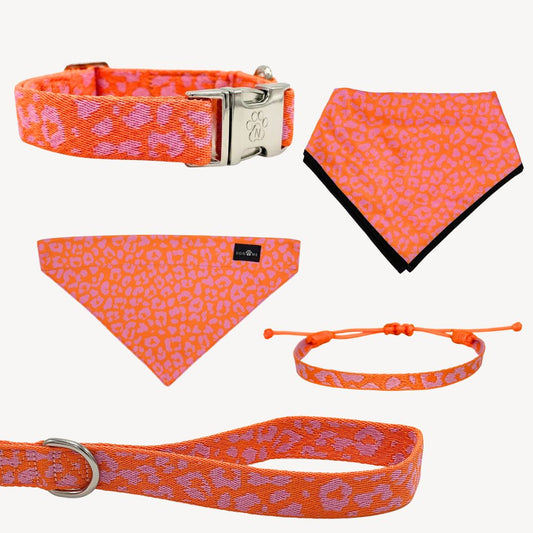Panther 2.0 - Orange/Pink - Trail Hunter Ultra Set
