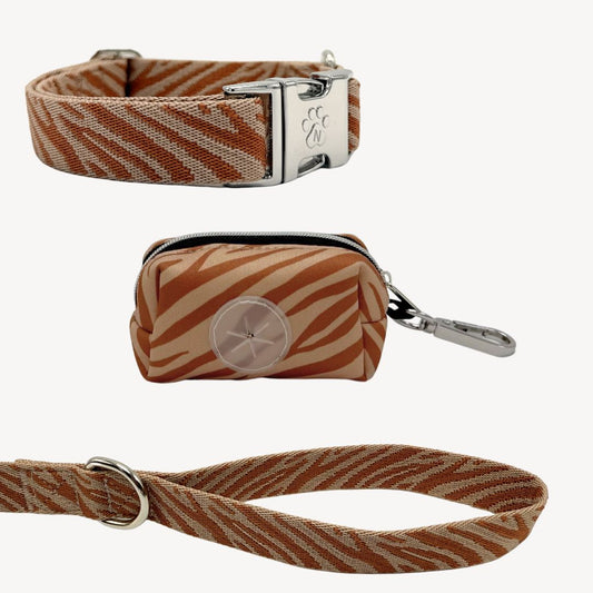 Zebra - City Walk Set