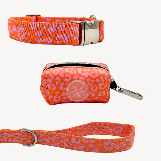 Panther - Orange/Pink - City Walk set