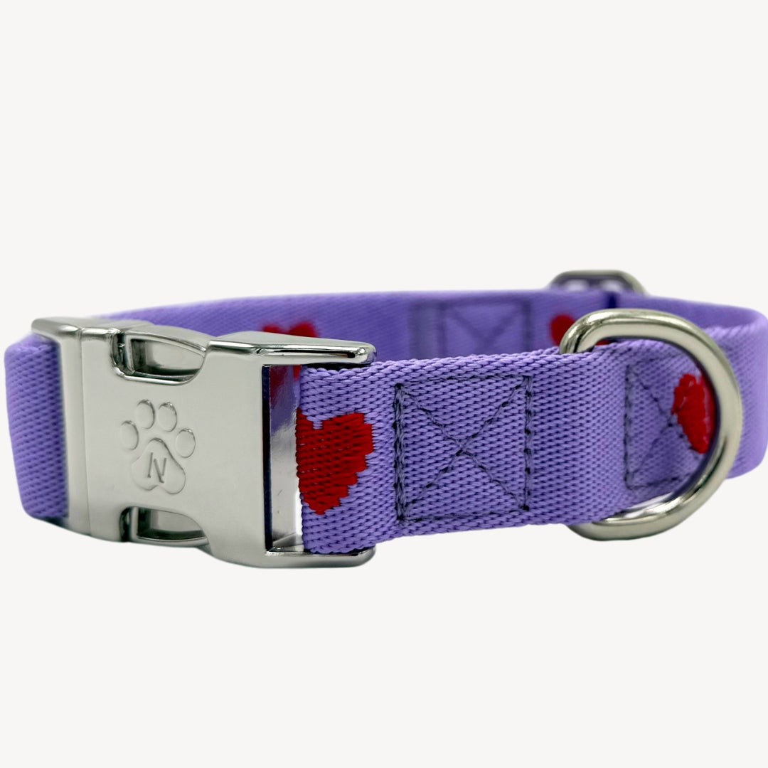 Herzen - Lila - Hundehalsband
