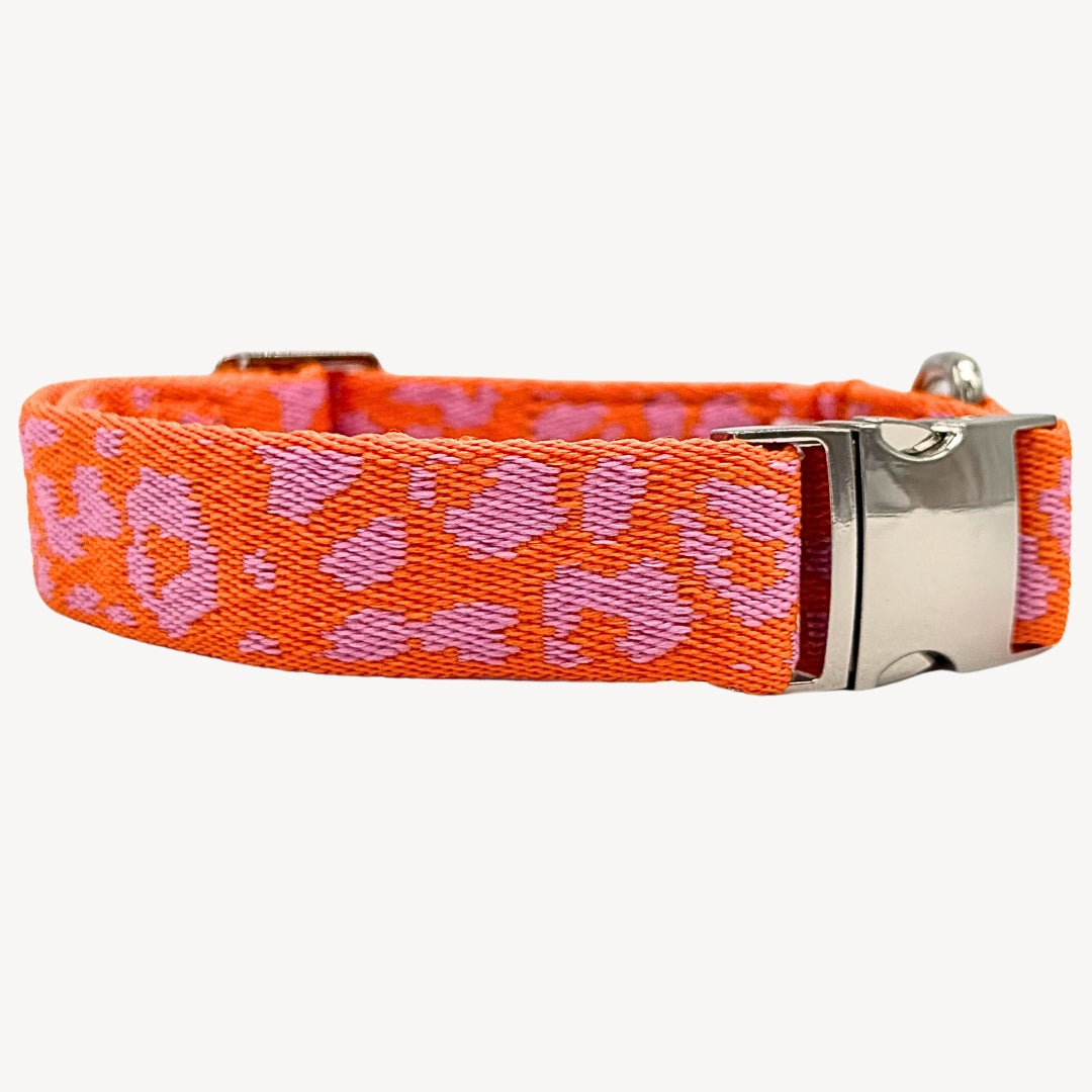 Panther - Orange/Pink - Dog Collar