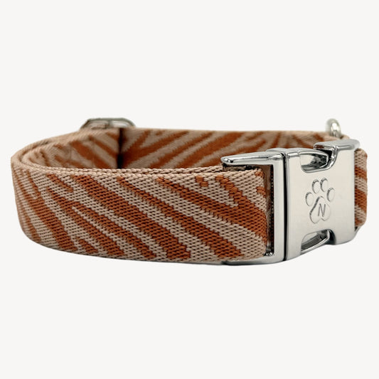 Zebra - Hundehalsband