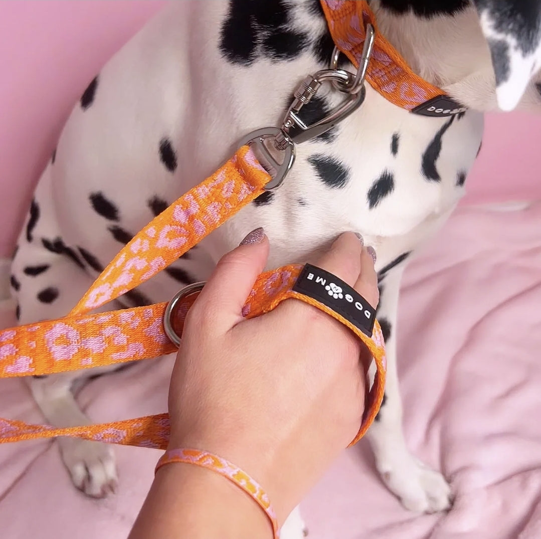 Panther - Orange/Pink - Hundeleine